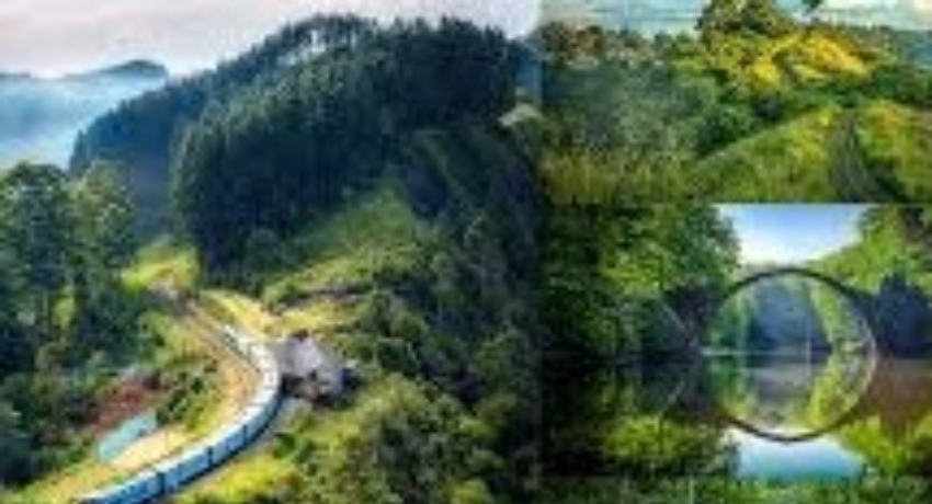 灵感实验室 - 大象视频在线免费观看一区 - 突破常规的创意实验孵化平台